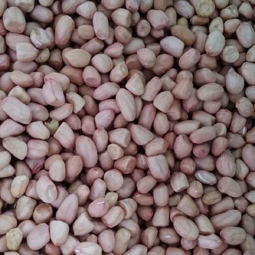 花生  好货，绿色食品欢迎光临