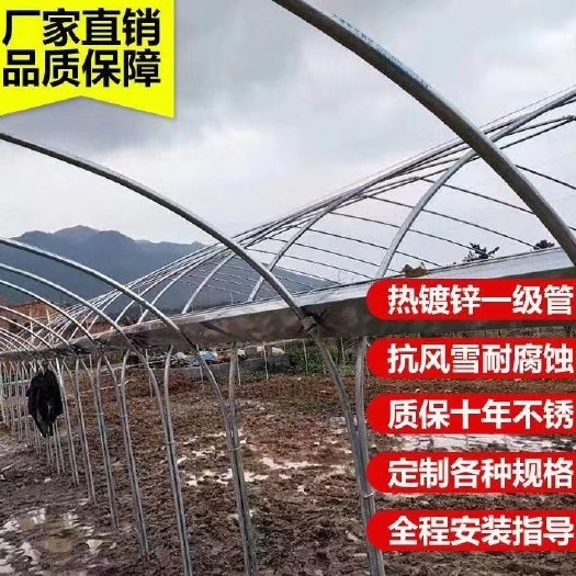 沭阳县大棚钢管 