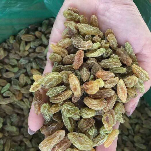 献县无核葡萄干 一等 