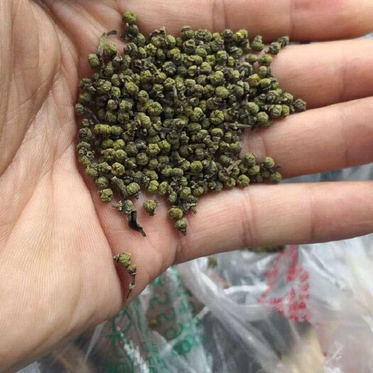 洞口县吴茱萸 