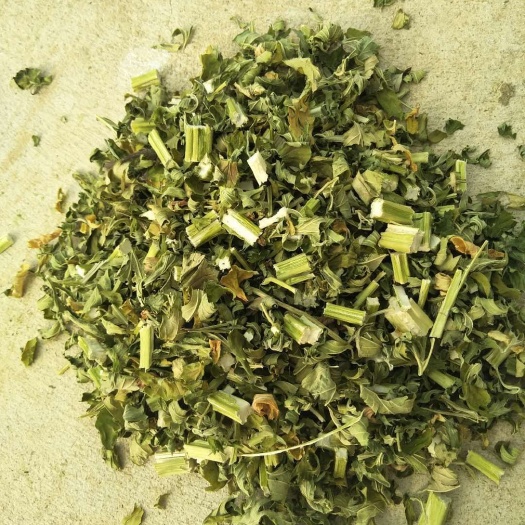 亳州益母草 