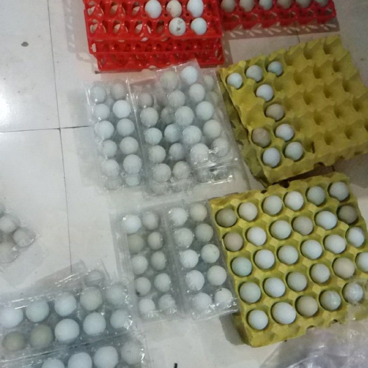 渭南土鸡蛋 食用 散装 