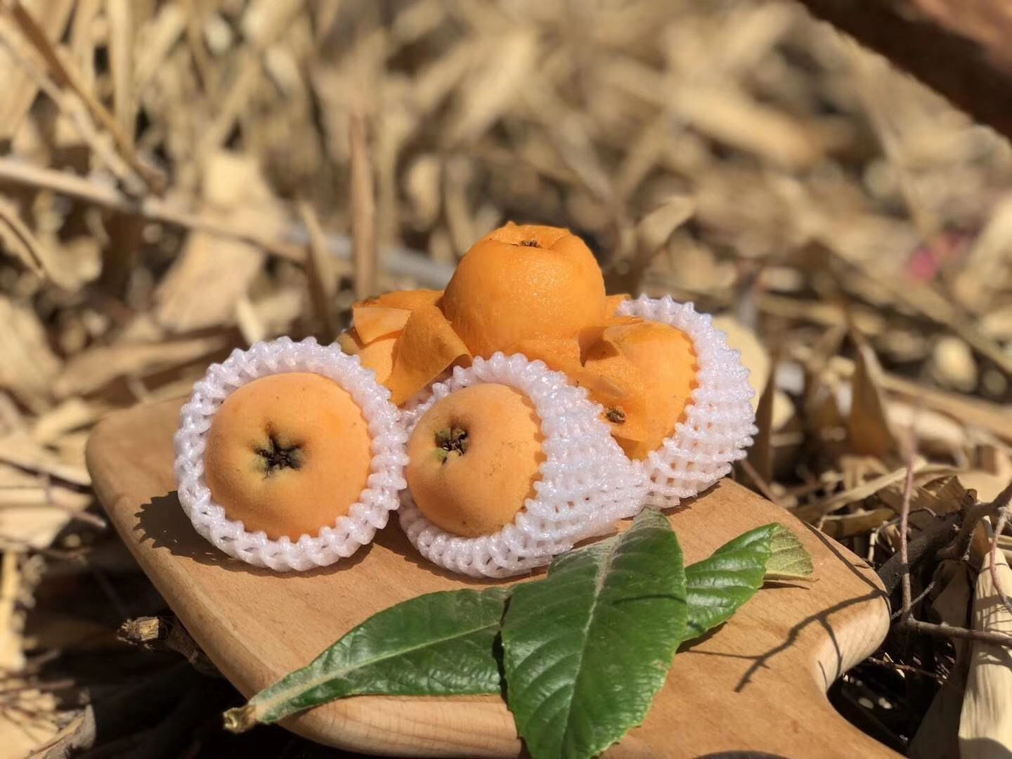 米易枇杷 0.4 - 0.7两 