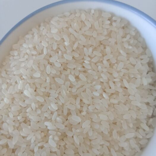 虎林市绥粳18大米 一等品 一季稻 粳米