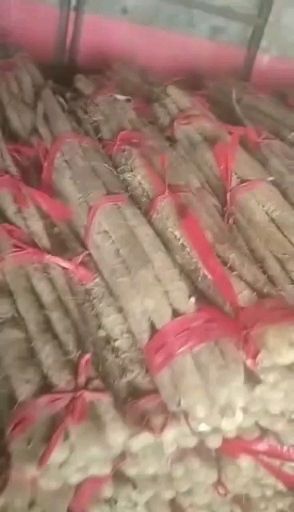 莘县 山东莘县王庄集镇山药大量上市