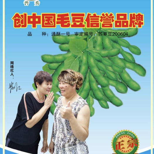 开原市早熟毛豆种子 