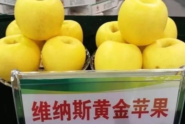 平邑县维纳斯黄金苹果苗 0.5~1米