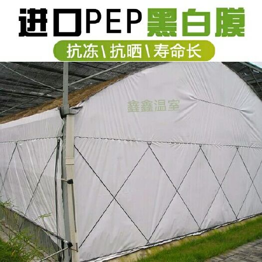 沭阳县地膜  黑白膜养殖大棚膜防晒加厚保温隔热反光膜食用菌膜遮光绿白膜