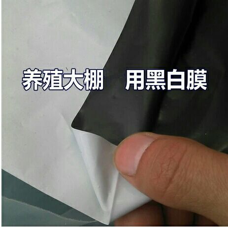 沭阳县棚膜  加厚黑白膜养殖膜食用菌专用膜防晒膜防渗膜遮光膜塑料大