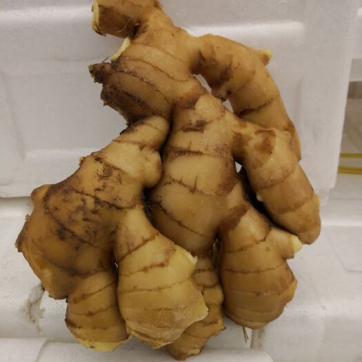昌邑市昌邑大姜 姜的价格每天都涨涨涨