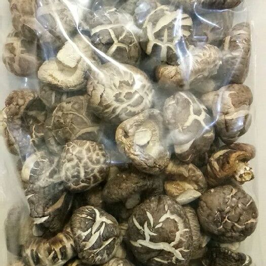 随县原木干香菇 箱装 1年以上 