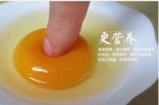 土鸡蛋 食用 箱装 