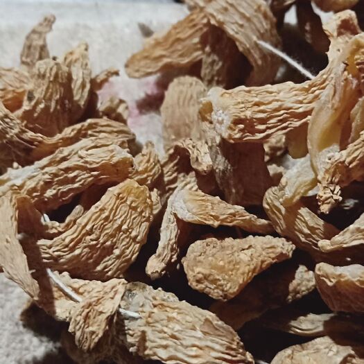 大方县乌天麻 