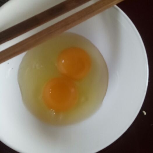 大冶市绿壳鸡蛋 孵化 箱装 