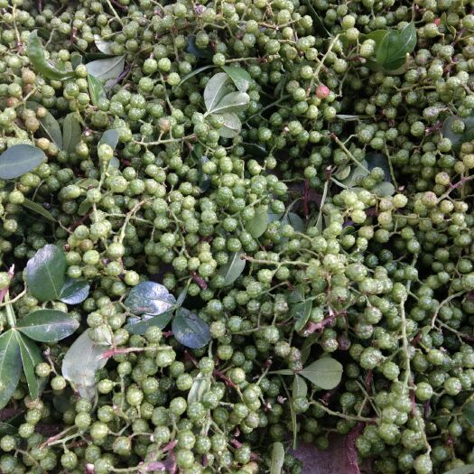 盐源县麻椒 特级 干花椒 