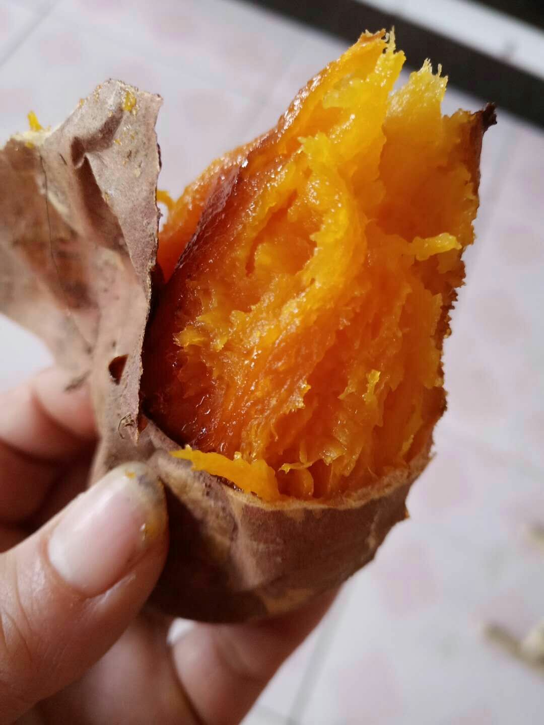 烟薯25 3两~6两 红皮 
