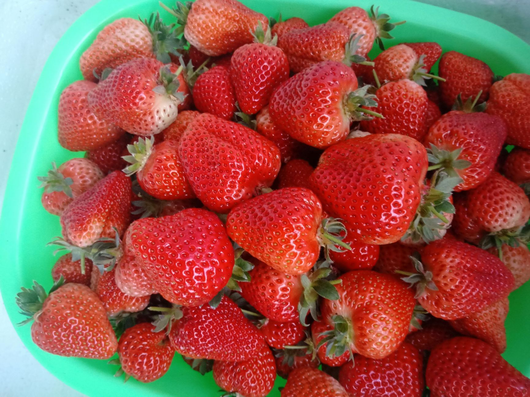 红颜草莓 20克以上