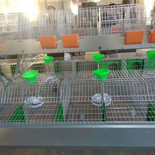 西平县兔笼 