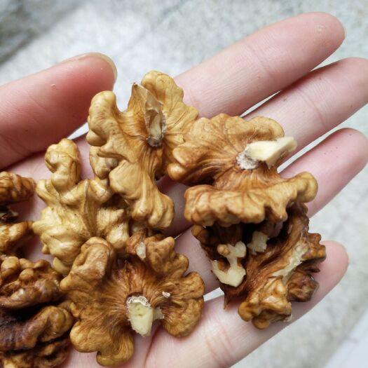 运城薄皮核桃 一箱5斤装
