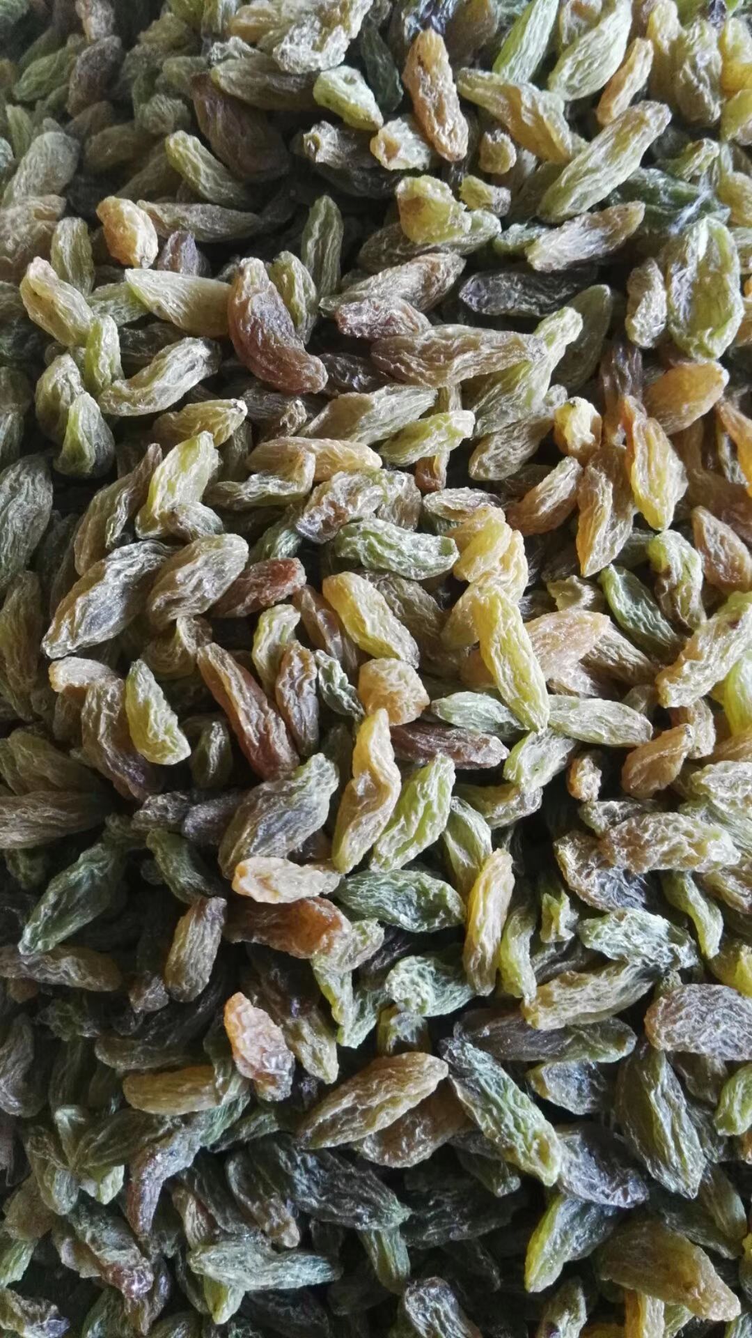 白葡萄干  一等 绿宝石葡萄干一等