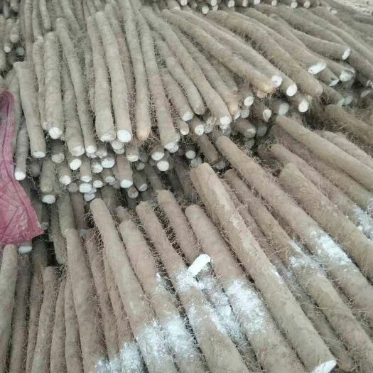 大名县大名白玉山药大通货
