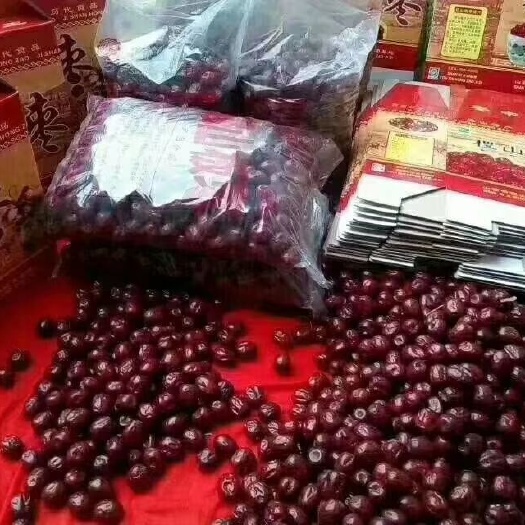 稷山板枣 6-12个月