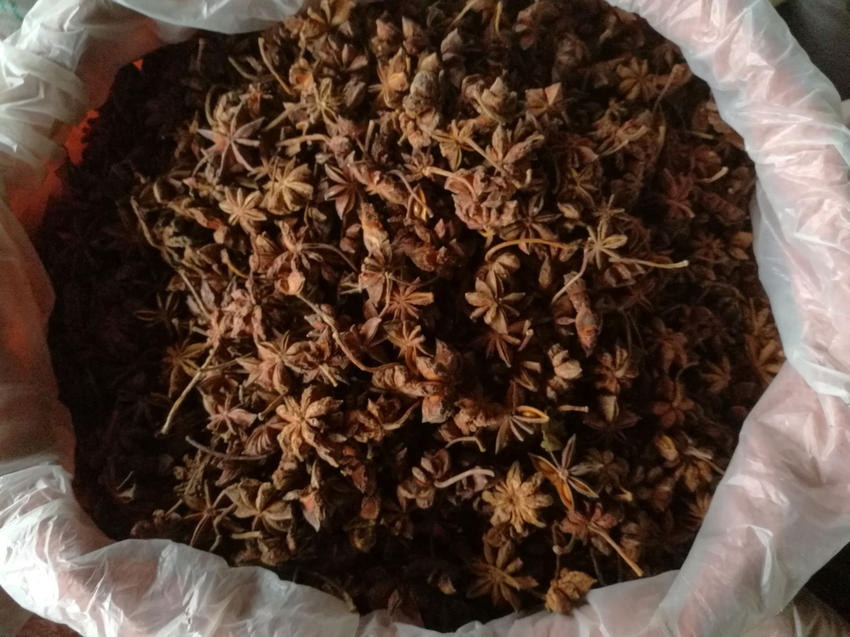 大红八角