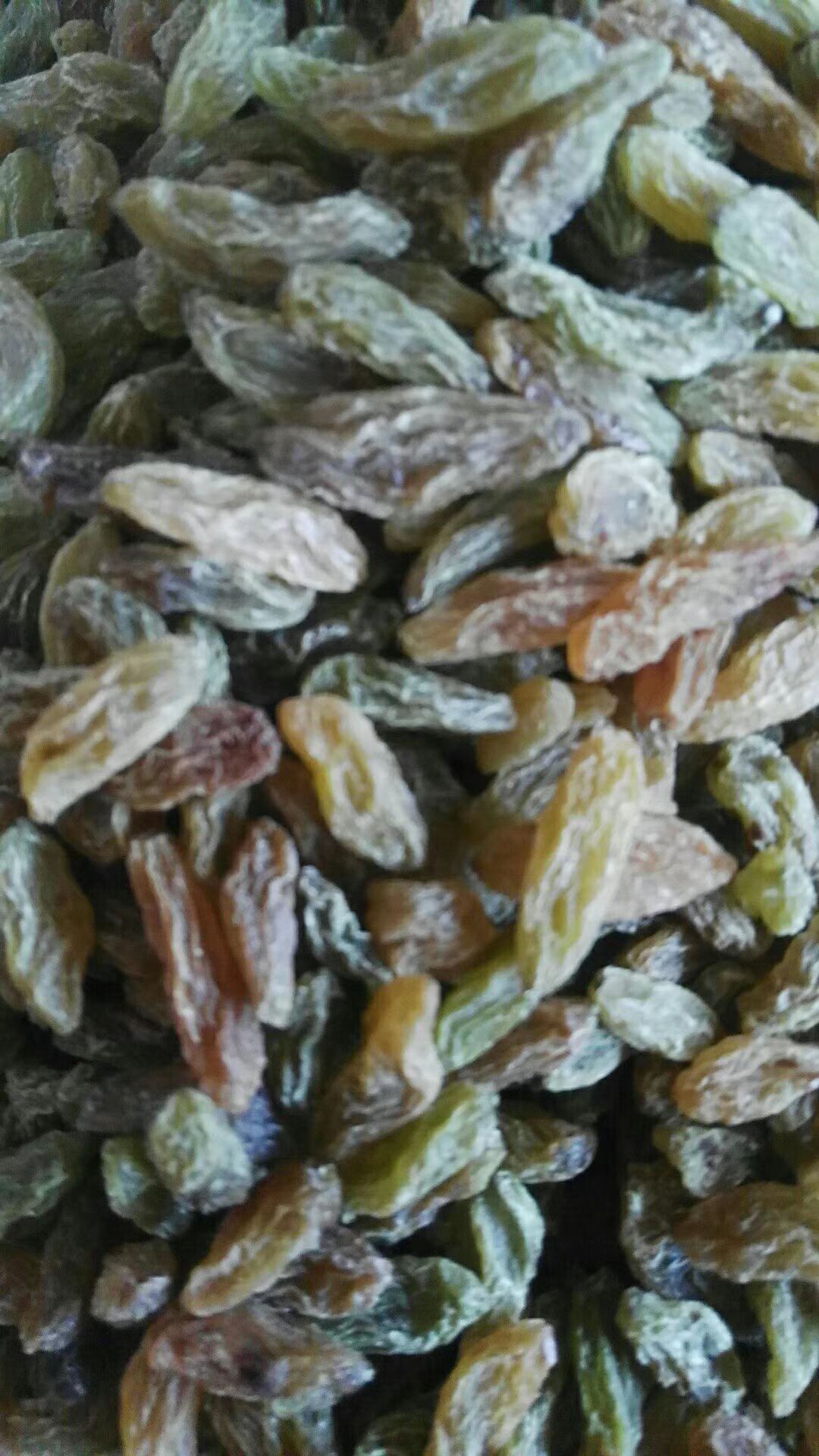 白葡萄干  一等 绿宝石葡萄干一等