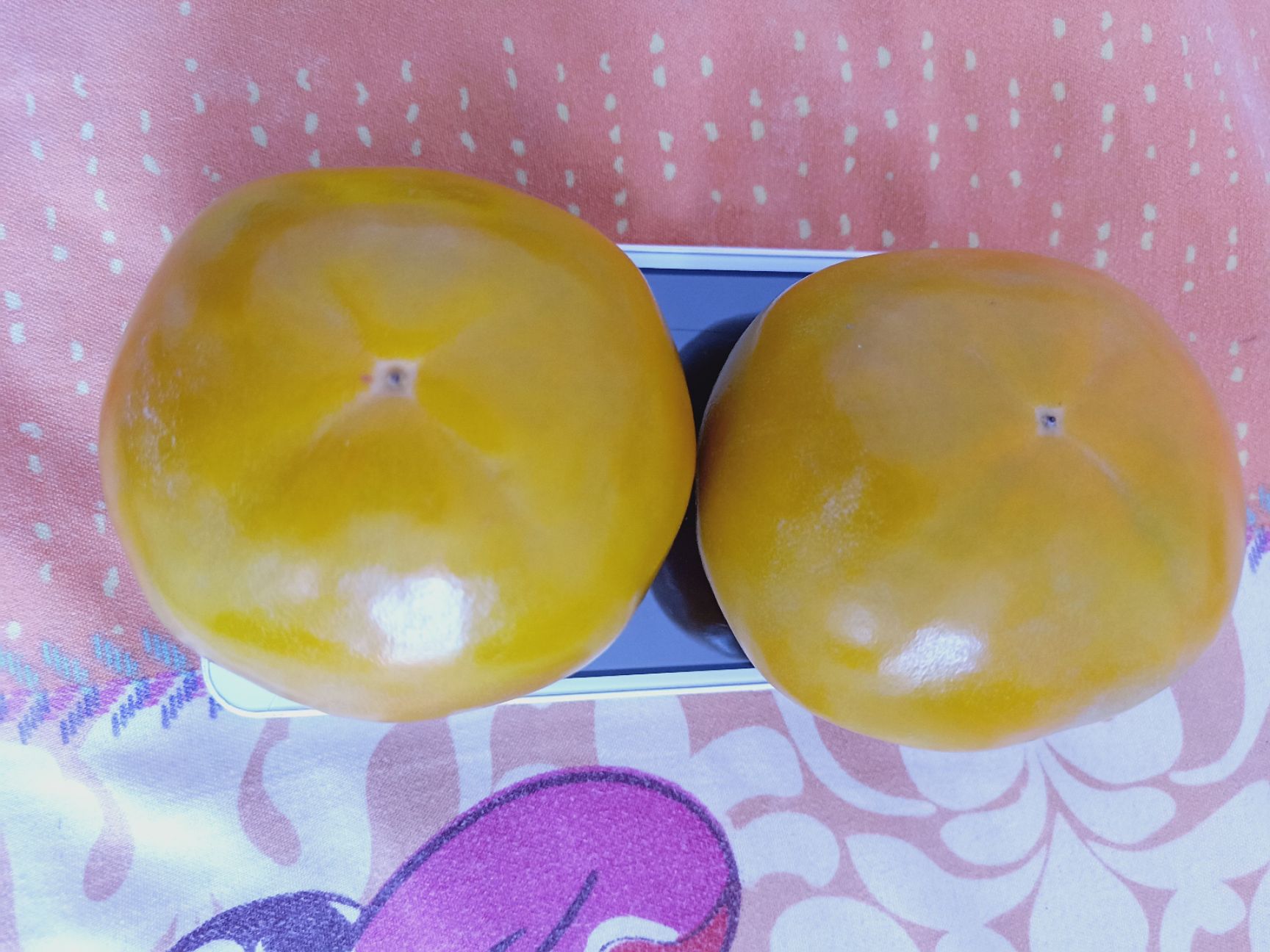 太秋脆甜柿子树苗，太秋柿子树苗，阳丰脆甜柿子树苗基地品种保证