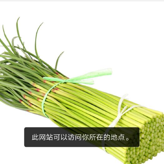 徐州红帽蒜薹 30cm以下 