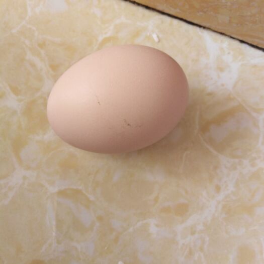 龙陵县虫子鸡蛋 食用 散装 