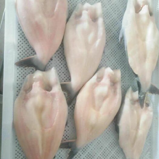 邢台 巴沙鱼