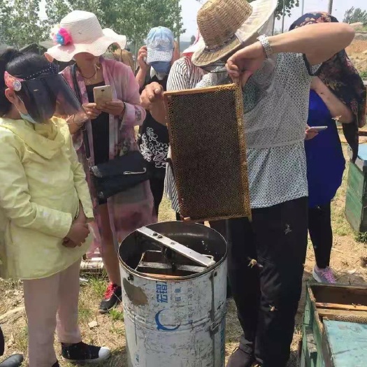 蒙阴县百花蜜 玻璃瓶装 2年 90%以上 