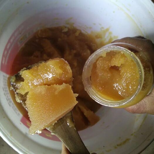 陇县土蜂蜜 桶装 2年  