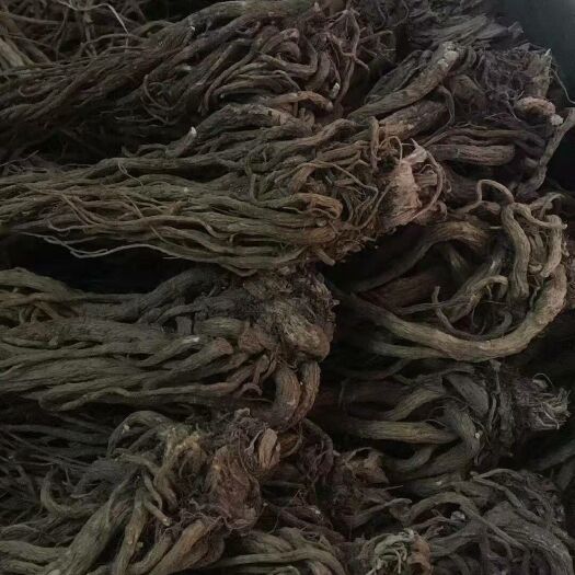 华坪县云南当归