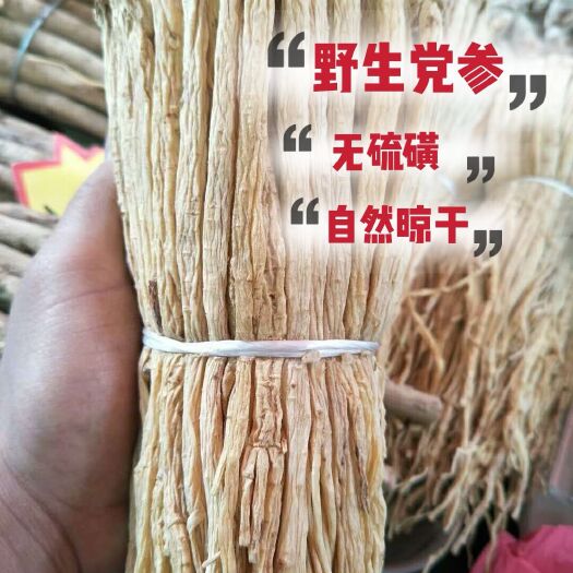 文山市白条党参  无硫党参