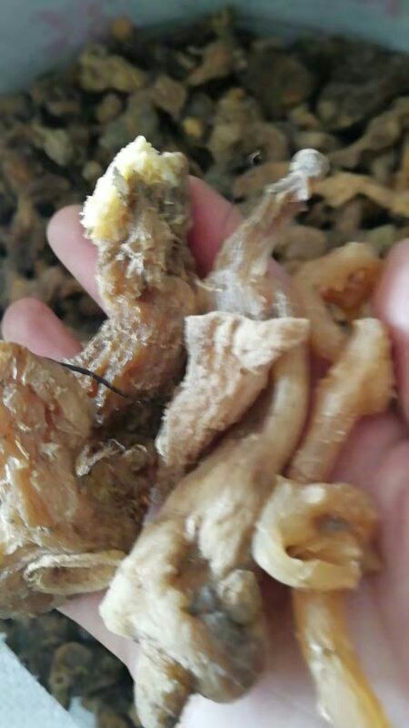 商南县鸡头黄精 块
