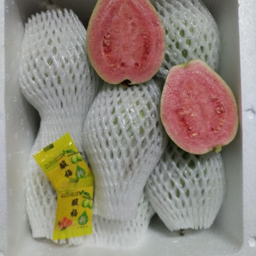 北流市红心芭乐 150-200克 