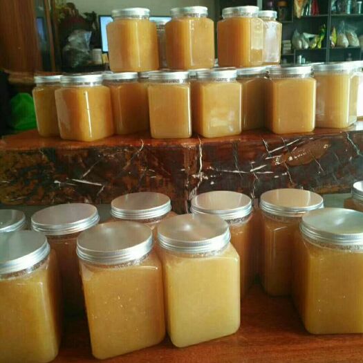 景洪市土蜂蜜 塑料瓶装 2年以上  