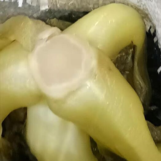桂林腌芥菜 