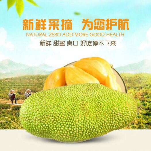 南宁海南菠萝蜜  15斤以上 单颗30一40斤