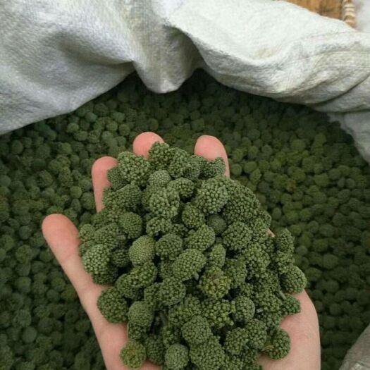 富宁县三七花，文山三七花，三年生全干，精选，养生花泡茶，全国包邮。