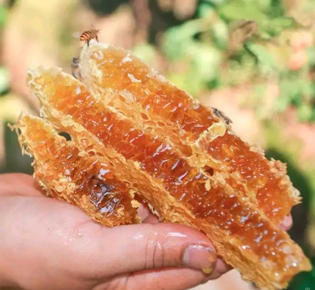  蜂蜜  百花蜜  成熟蜜  中蜂蜜   包邮