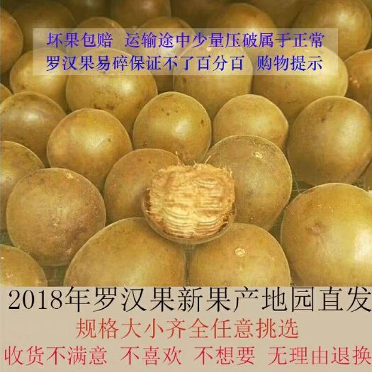 桂林长滩果罗汉果 3 - 4两 罗汉果干