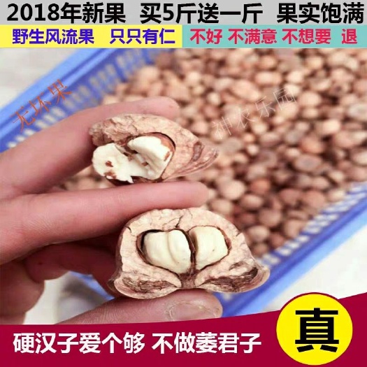 桂林 风流果产地直发