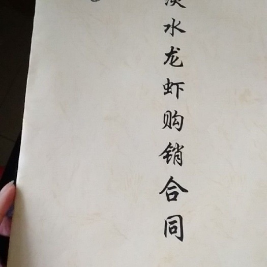 沭阳县龙虾苗 