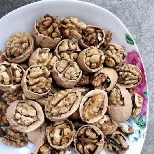 薄皮核桃 