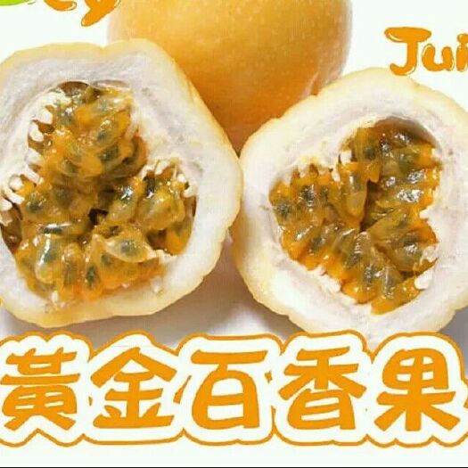 灵山县黄金百香果苗 