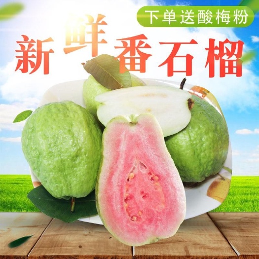 北流市红心芭乐 200-250克 