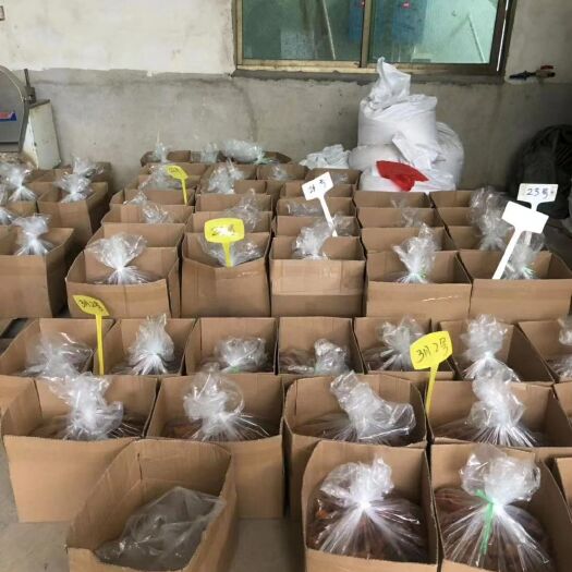 英德市红薯干 半年 条状 散装 